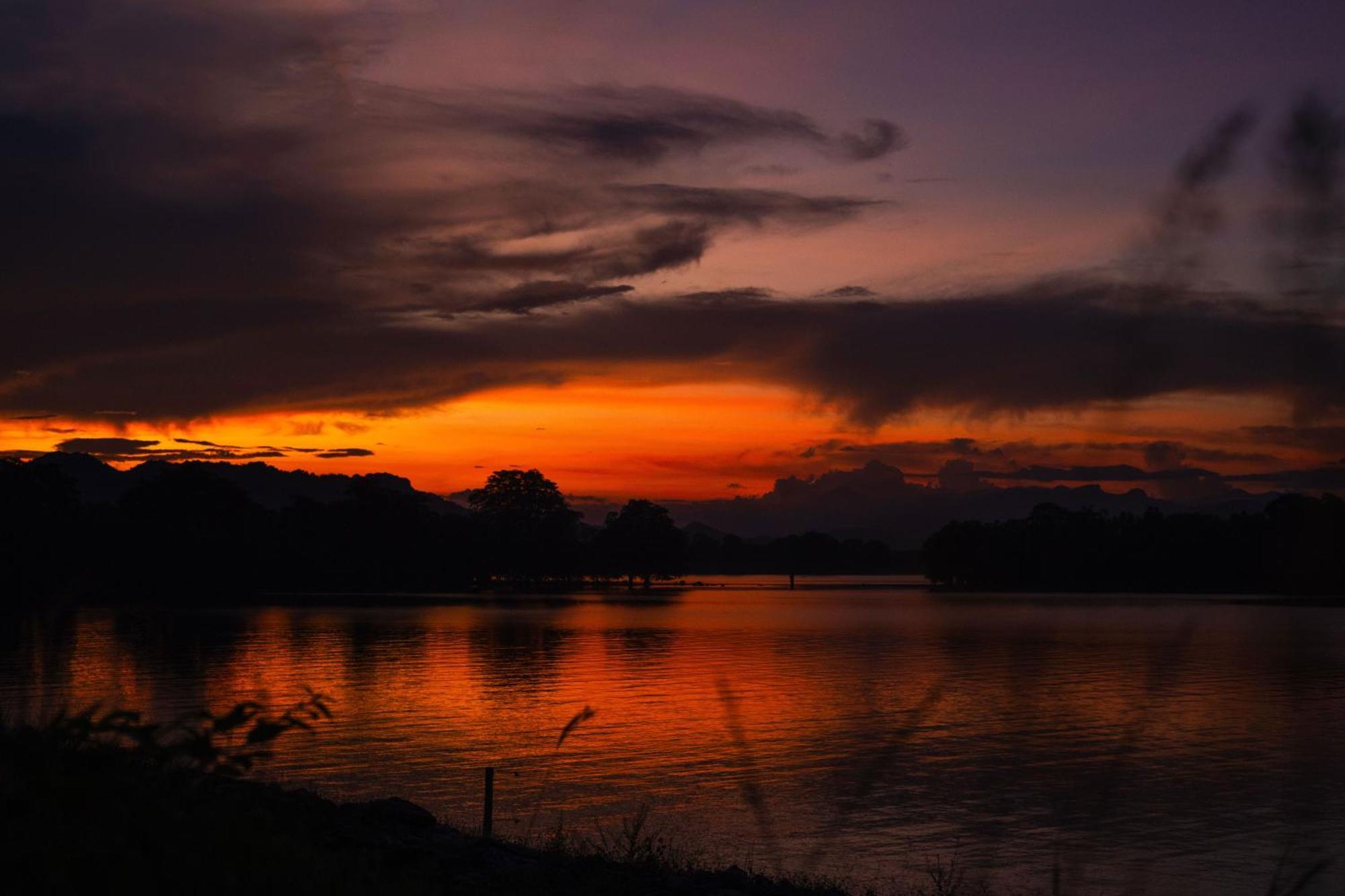 Silent Bungalow Udawalawe Bagian luar foto