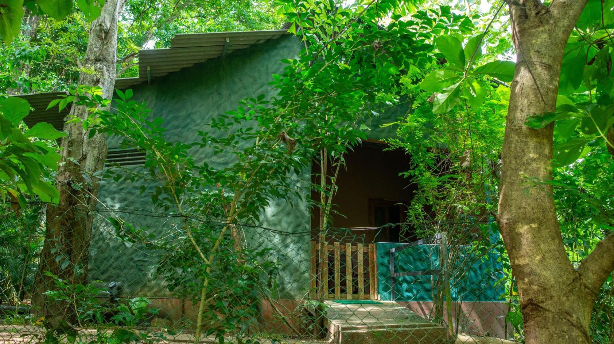 Silent Bungalow Udawalawe Bagian luar foto
