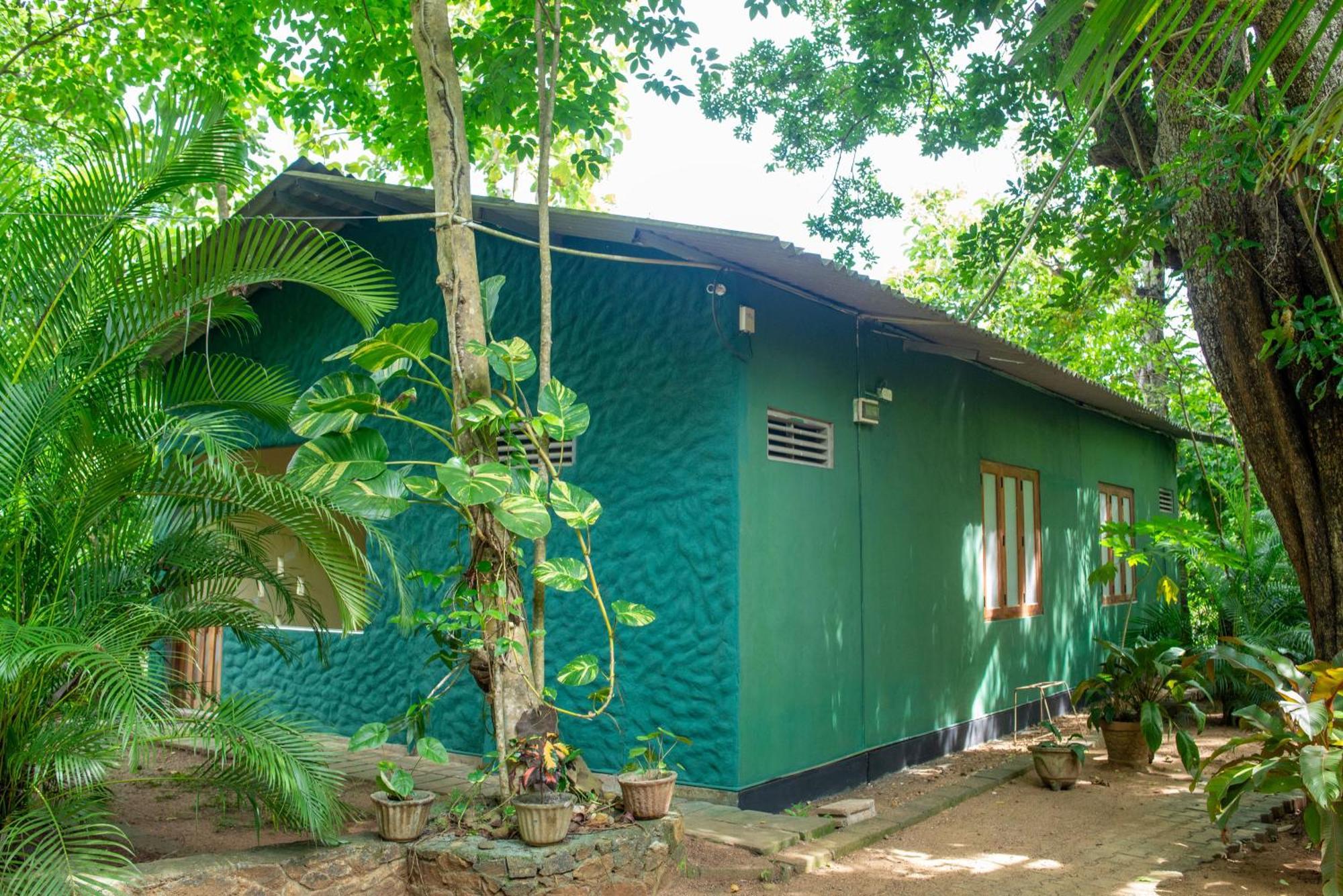 Silent Bungalow Udawalawe Bagian luar foto