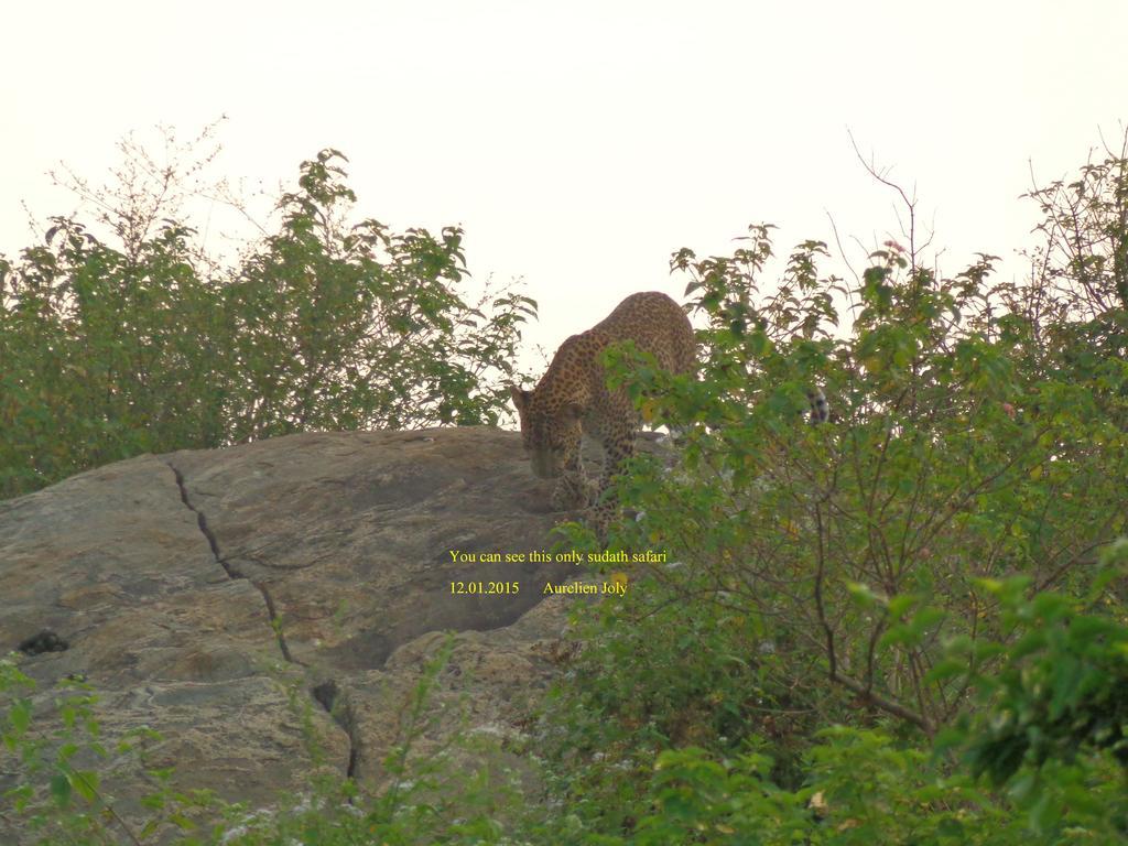 Silent Bungalow Udawalawe Bagian luar foto