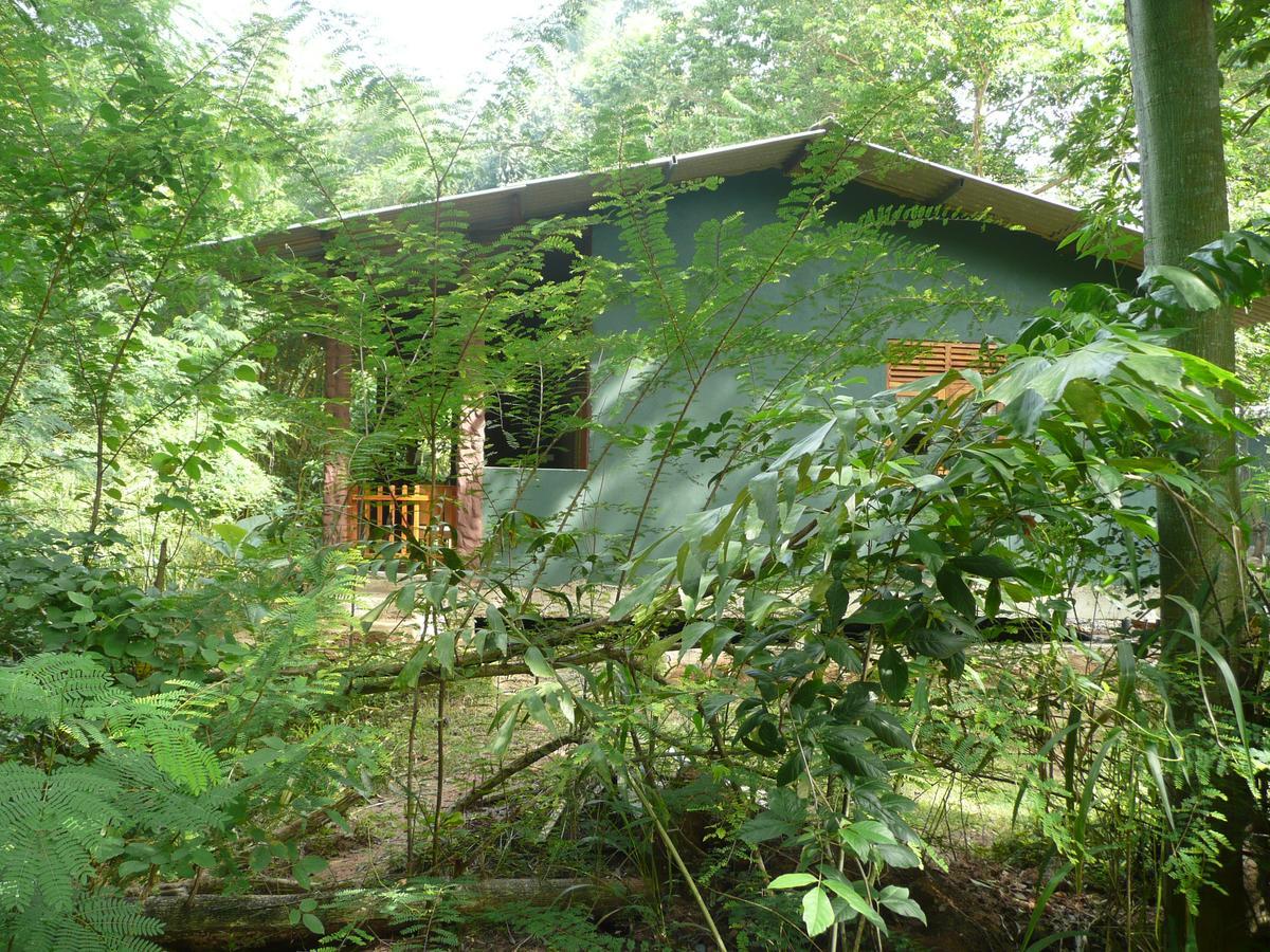Silent Bungalow Udawalawe Bagian luar foto