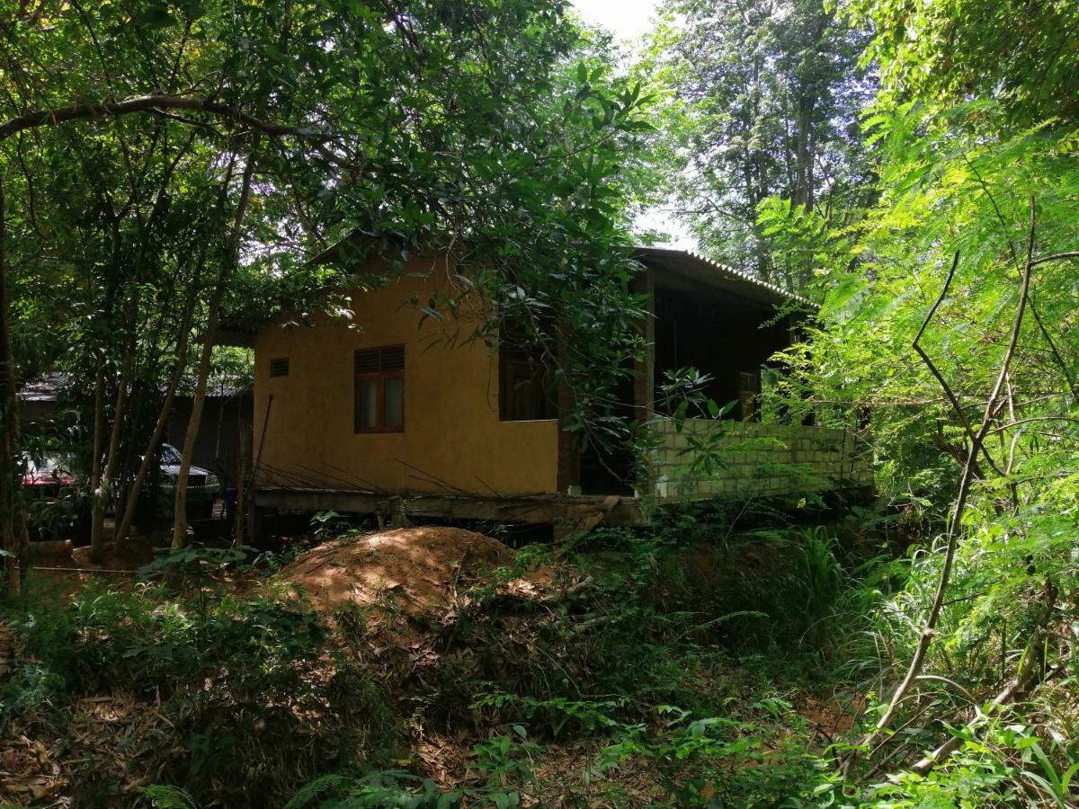 Silent Bungalow Udawalawe Bagian luar foto